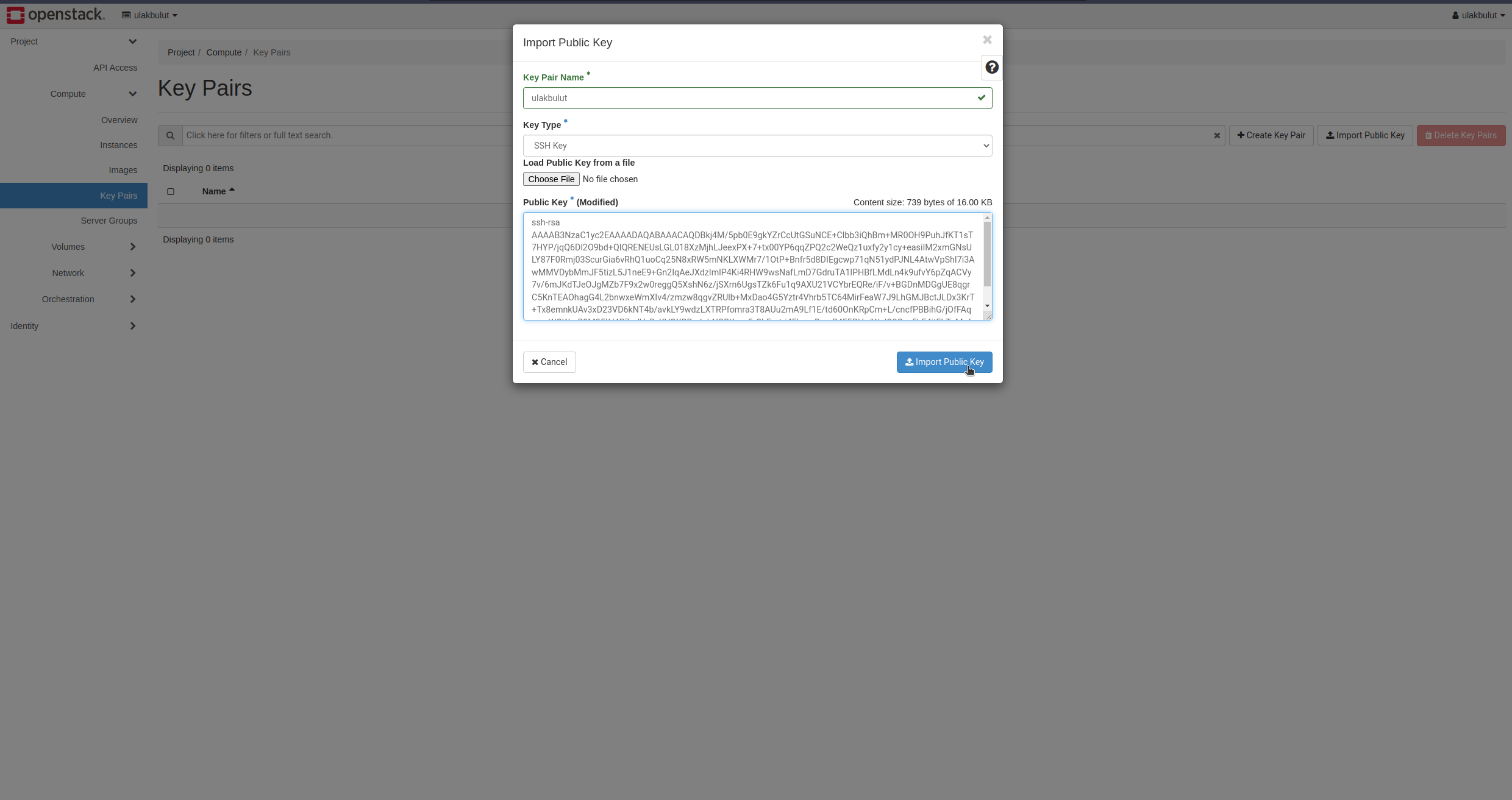 Import Public Key penceresi: anahtar adı, SSH Key türü ve yapıştırılmış açık anahtar